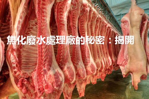 焦化廢水處理廠的秘密：揭開環(huán)保新篇章？